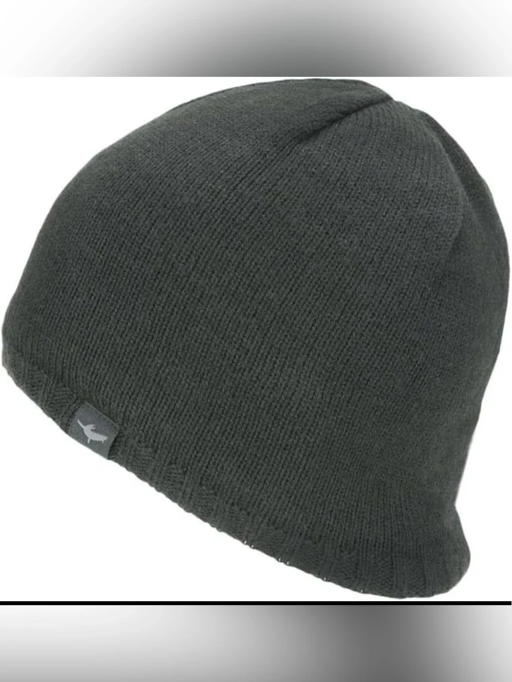 SEALSKINZ Waterproof Cold Weather Beanie Large-X-Large, dark gray